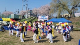 팔복동 자생단체연합회, 핑크빛 벚꽃축제로 주민 화합 성료