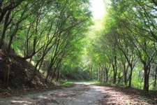 익산 함라산, 전북 대표 힐링 트레킹 명소로 재탄생