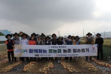 부안중앙농협·상서면사무소, 양파 수확 봉사활동