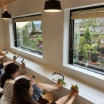 농촌진흥청, 여름 휴가철 농촌치유마을 11개소 추천