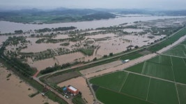 시설하우스 다 잠긴 익산 용안들녘…주민들 망연자실