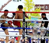 전주시장배 생활체육 무예타이대회 성황