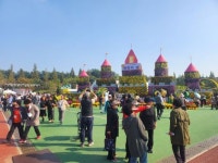 익산 천만송이 국화축제 관람객 하루 평균 11만명 방문