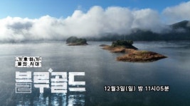 JTV전주방송, 국제공동제작 기후위기 물의 시대 블루골드 방송