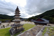 모악산과 금산사, 그리고 금평저수지