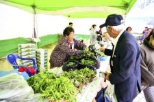 장수 만남의 광장 개장식 및 제2회 장안산 봄나물 축제 성황