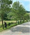 임실군 청웅면, 화단·가로수 주변 환경정비