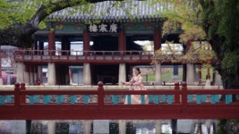 국립민속국악원, 홍보영상 2편 가족편, 해금편 공개