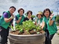 전주 효자4동 새마을부녀회, 주민센터 및 경로당 화단 여름꽃 심기 봉사활동