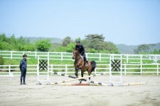 한국경마축산고등학교, 제1회 전북특별자치도교육감배 전국 유소년 말 산업 축제 개최