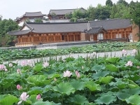 전주 덕진공원 포토 이벤트 추억 만들기 실시