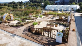 농촌진흥청, 제20회 생활원예·치유농업 중앙경진대회 결과 발표