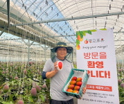 귀농 4년차 완주군 비봉면에서 애플망고 농장 망고포유를 운영하는 김광일 대표