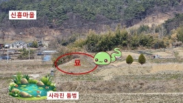 [풍수로 보는 전북 부흥의 길] <165> 전북의 뱀 명당 이야기(5) 뱀도 못 살게 하는 텃세