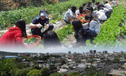 현장체험학습 위축 분위기...도내 청소년 수련시설 불안감 커져