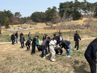 임실군, 왕겨 충진형 땅속 배수 기술로 논콩 안정 재배