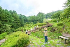 봄을 담다…전북자치도, 4월의 여행지 4곳 소개