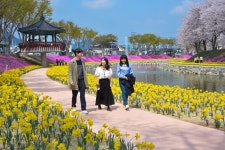 순창읍 양지천 산책로 2km 구간 70만본 꽃 천지