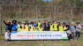 농협 무주군지부, 영농철 농촌일손돕기에 구슬땀