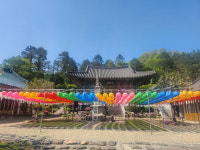 완주군 고산면 백운사, 산불피해 성금 기탁