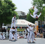 2025 명품 태권도 시범 공연