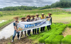 전주시 우아2동 이웃과 함께하는 벼농사, 모내기 첫 삽