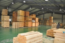 [기술혁신 선도 전북 이노비즈 기업] 신영목재, 친환경 및 기능성 목재 시장의 새로운 지평을 열다