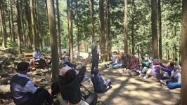 편백숲에서 열리는 행복- 숲 덕분에 몸도 건강, 마음도 건강