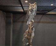 남원백두대간생태교육장, 자연을 담은 특별한 공간 생물테마전시(에코큐브)시설 개관