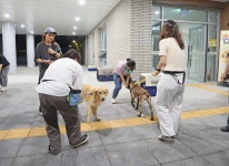 임실형 RISE 사업 오수반려누리에서 힘찬 첫 걸음
