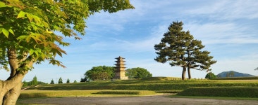 [풍수로 보는 전북 부흥의 길] <189> 익산 왕궁터는 전북의 얼굴(3)