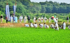 순창농요 금과들소리, 전북도민 전체가 계승 발전시켜야
