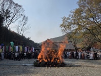 평생을 포교에 바친 큰 어른…금산당 도영 대종사 영결식 엄수