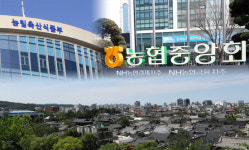 농식품부, 농협중앙회 전남·광주 이전 움직임에 지역 정치권 뿔났다