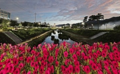 임실군 2026년 생활권 녹색공간 확충 총력