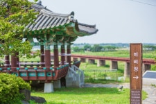 연분홍 벚꽃 물결부터 초록빛 힐링까지...전북 완주, 봄의 절정을 걷다