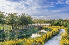 부안 줄포만 노을빛 정원 체험 프로그램 운영 관람객에게 색다른 즐길거리 제공