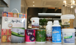 KCC, 집방 열풍에 DIY 친환경 페인트 숲으로홈앤 인기