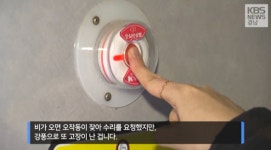 운이 좋아서 살아남은 여성들의 목소리