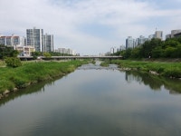 [안치용의 탄천 동행] 작고 아름다운 것의 시련과 승리