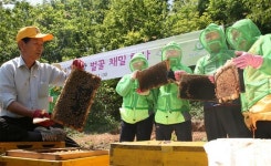 보디양봉푸드 | 로컬푸드 강동구 도시양봉 아카시아 꿀 맛보세요