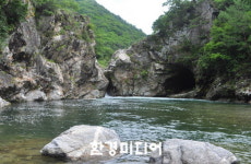 양구, 생태 팸투어 관광도시로 거듭난다.