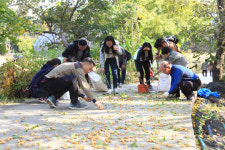 보령시, ‘청라은행마을 축제’ 국비지원 받는다