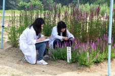 지적재산권 확보 위한 재배시험 한창