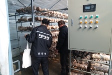 산림용 종자 불법유통 강력 단속… 불법종자 농사에 큰 타격 입혀