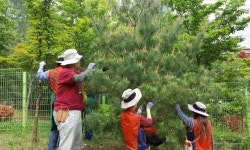 경기농식품유통진흥원, 2018 경기도 시민정원사 활동대상지 공모