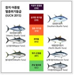 참치 캔 속 불편한 진실
