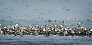 해양수산부, 습지보호지역 대폭 확대·지정