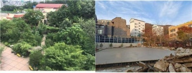 생명의숲, 경기 남양주 광동중학교 학교숲 훼손에 원상복구 요구