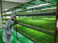 [기업탐방]안전한 웰빙 먹거리...대산바이오가 책임진다